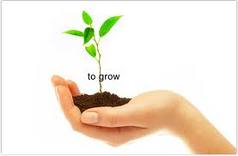 grow